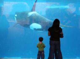 Killer whales and the mystery of human menopause
