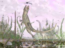 Mammal-like crocodile fossil found in East Africa, scientists report