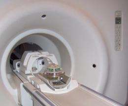 Meet Phannie, NIST's standard 'phantom' for calibrating MRI machines