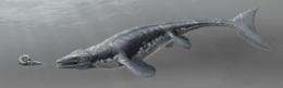 Mosasaur fossil at Natural History Museum of L.A. County re-explores 85-million-year-old sea monster