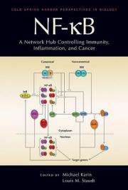 New book reviews research on key signaling molecule, NF-kB