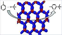 New Class of Catalyst Sports Shapely Selectivity