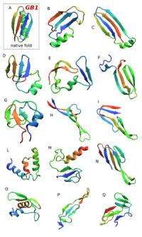 New method takes snapshots of proteins as they fold