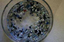Oceanic 'garbage patch' not nearly as big as portrayed in media