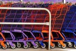 Researchers test green shopping scheme