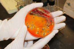 Scientist develops salmonella test that makes food safer, reduce recalls