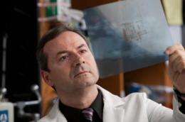 Scientists bioengineer a protein to fight leukemia