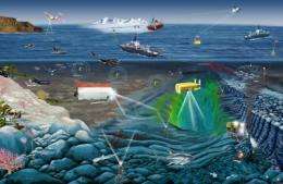 Speed installation of system to monitor vital signs of global ocean, scientists urge