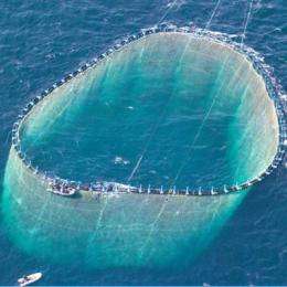 Sustainable fishing is possible and necessary