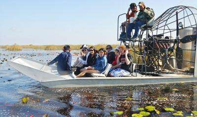 Taking a close look at the Everglades restoration