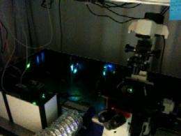 UMass Amherst Researchers Develop New Microscope So Powerful It Sees Individual Molecules