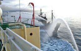 Whalers, activists clash again in Antarctic waters (AP)