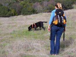 Wildlife biologists use dogs' scat-sniffing talents for good