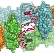 Illuminating the mechanism used by HIV to attack human DNA with x-rays