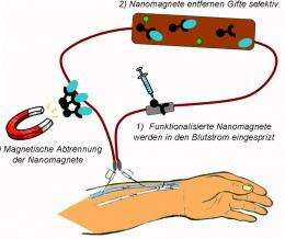 Nanomagnets purify blood