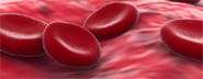 Scientists make water-free liquid from blood protein