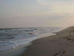 Expert: North Carolina's beaches cleaner than most