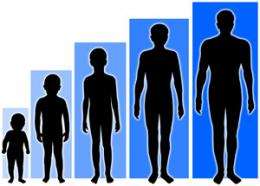 A 'giant' step toward explaining differences in height: Scientists map height 'hotspots' in the genome