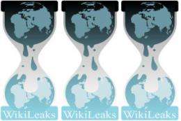 Researchers say WikiLeaks damaged American power