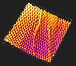 Scientists use nature's design principles to create specialized nanofabrics