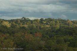 Scientists identify Ecuador's Yasuni National Park as one of most biodiverse places on earth