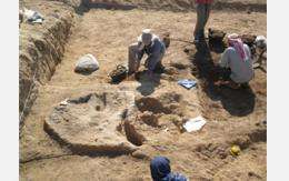 Archaeologists Uncover Land Before Wheel; Site Untouched for 6,000 Years