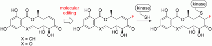 Improving Kinase Inhibitors: Molecular editing of resorcylic acid lactones