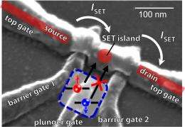 Scanning electron micrograph of metallic electrodes on silicon oxide