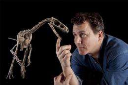 New predator 'dawn runner' discovered in early dinosaur graveyard