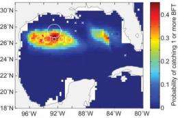 New study maps spawning habitat of bluefin tuna in the Gulf of Mexico