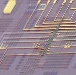 Researchers produce world's first programmable nanoprocessor