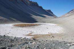 Research in Antarctica reveals non-organic mechanism for production of important greenhouse gas