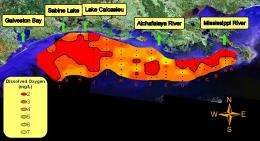 Scientists find changes to Gulf of Mexico dead zone 