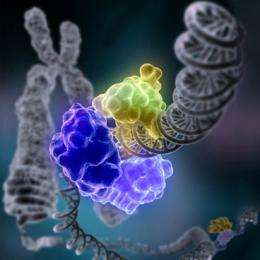 Scientists ID new cancer drug target