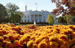 The White House is seen behind Autumn mums in Lafayette Park