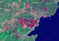 Satellites are tracing Europe's forest fire scars