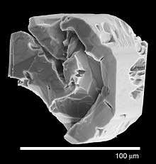 A secondary electron microscopy image of a zircon from volcanic ash, about 100 microns across