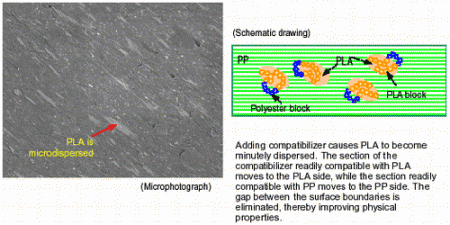 Figure 3.   PLA is microdispersed as a result of blending with a compatibilizer