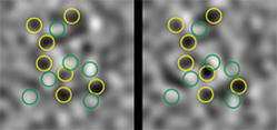 Noisy Pictures Tell a Story of 'Entangled' Atoms 1