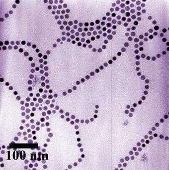 Magnetic nanoparticles assembled into long chains