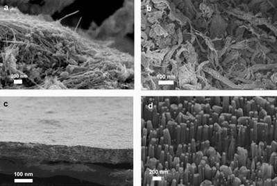 Scanning electron microscope images ....