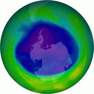 The Ozone Hole: 2005