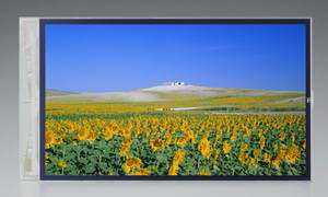 4.1-Inch System-on-Glass LCD Boasts Industry-Leading Picture Quality