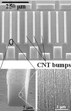 Figure 3: Carbon nanotube bumps