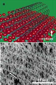 Sapphire Stars in Nanotube Support Role