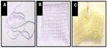 Self-cleaning 'Smart' Fabrics Capable of Environmental Toxin Remediation