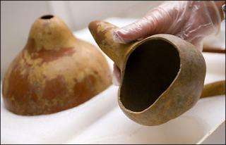 Ancient humans brought bottle gourds to Americas from Asia