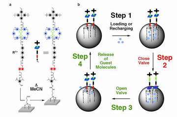 UCLA chemists create nano valve