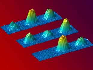 Physicists show coherence of Bose-Einstein condensates extends to spin state of atoms