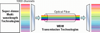 Super-dense 1,000 channel WDM transmission
